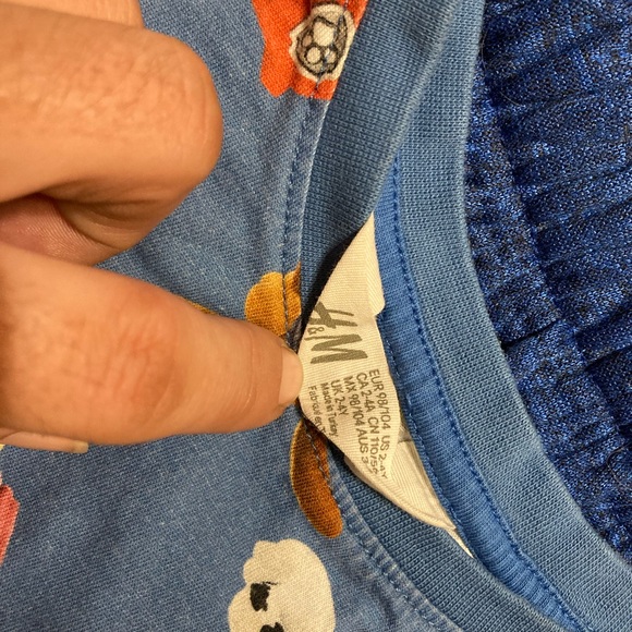 Paw Patrol - Picture 2 of 2